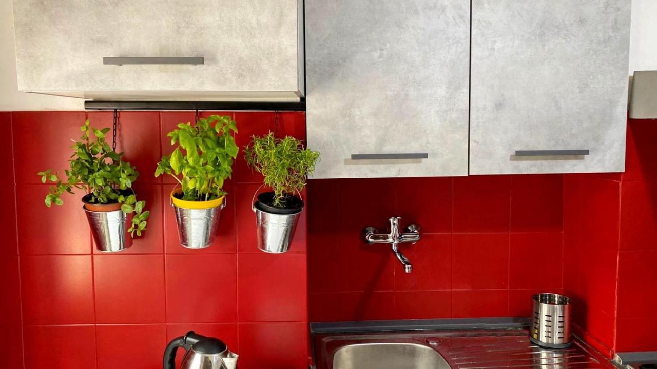 La Casa Colorata Apartment Citta di Castello Ngoại thất bức ảnh